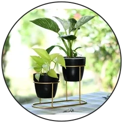 Plant Stand