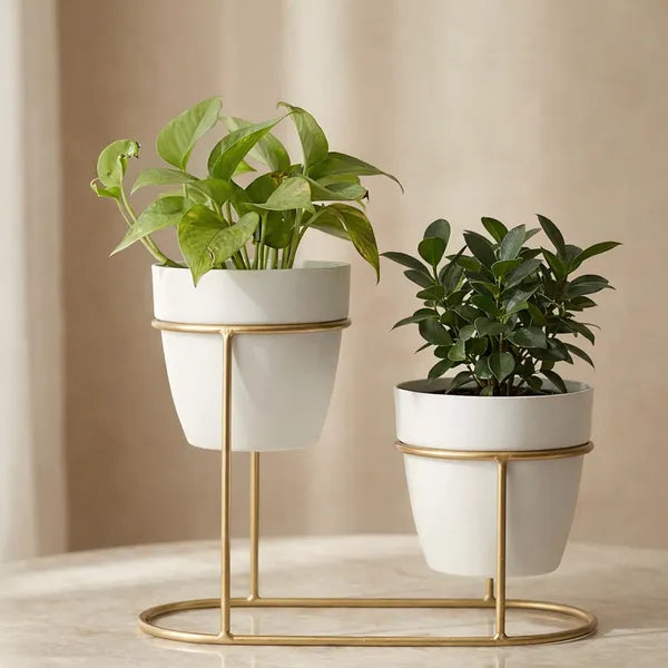 Gold Tier Oval Metal Plant Stand Withceramic Potsfinish