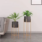 Gold And Black Modern Metal Plant Stand Withplanter Pot