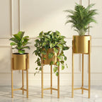 Banjara Decor Gold Finish Metal Plant Stands With Cylindrical Planters