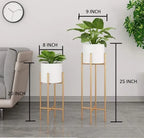 Gold And Black Modern Metal Plant Stand Withplanter Pot
