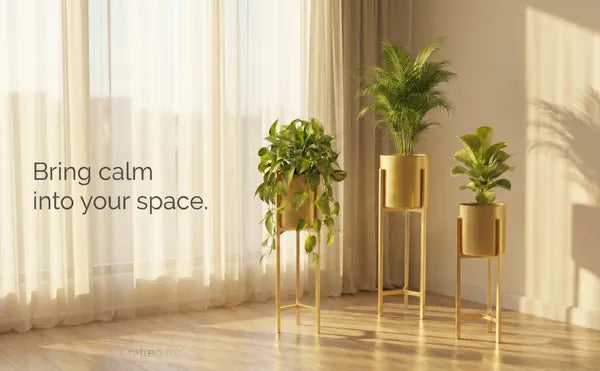 Banjara Decor Gold Finish Metal Plant Stands With Cylindrical Planters