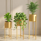 Banjara Decor Gold Finish Metal Plant Stands With Cylindrical Planters