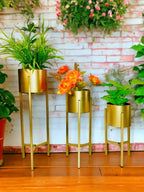 Gold Modern Metal Plant Stand With Cylindrical Pot
