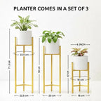 Modern White & Gold Metal Plant Stand Set of 3 – Elegant Indoor Planter Stands for Living Room & Home Décor