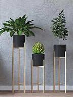 Gold Modern Metal Plant Stand With Planter Pot