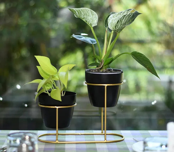 Gold &  White Two Tier Plant Stand With pots And frame