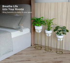Banjara Decor Gold And White Modernmetal Plant Stands Withceramic Pots