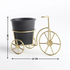 Beige And Green Decorative Metal Tricycle Planter Stand With Potframe