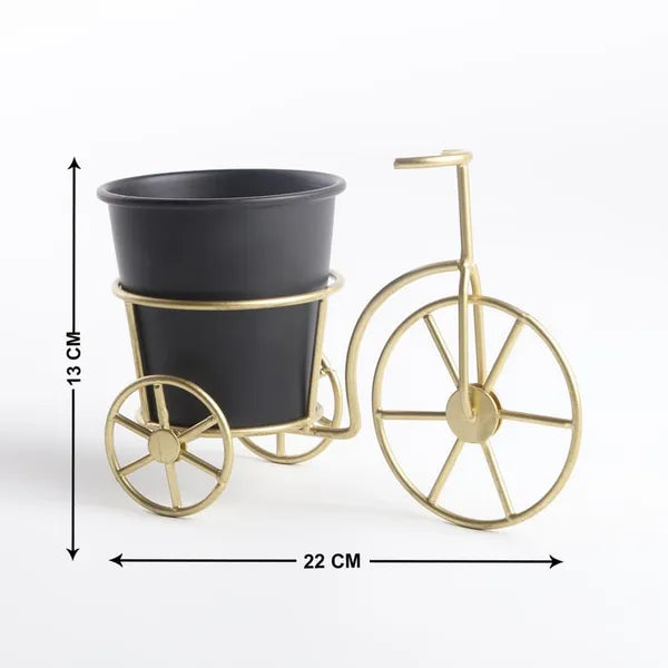 Beige And Green Decorative Metal Tricycle Planter Stand With Potframe