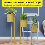 Gold Metal Plant Stands With Cylindrical Planters