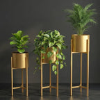 Banjara Decor Gold Finish Metal Plant Stands With Cylindrical Planters