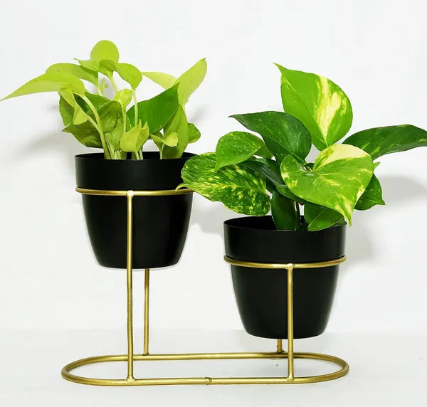 Gold &  White Two Tier Plant Stand With pots And frame